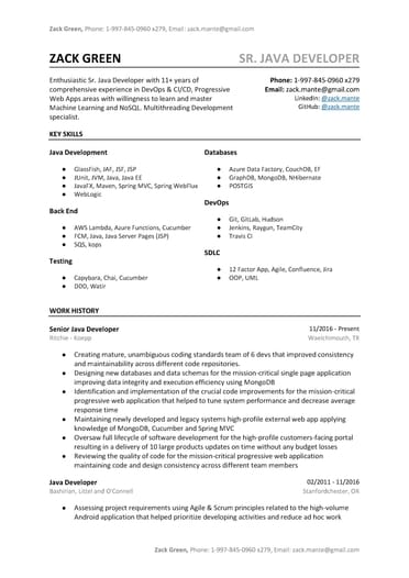 Java Developer Resume Sample Word Pdf Template 9 Free Tips